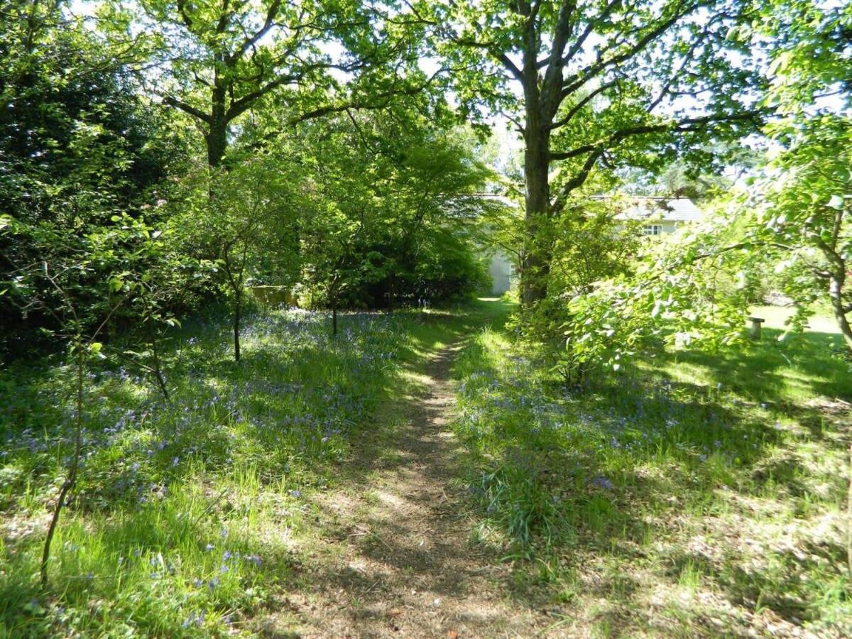 River Cottage A Country Retreat In Wooded Gardens East Stoke  Kültér fotó