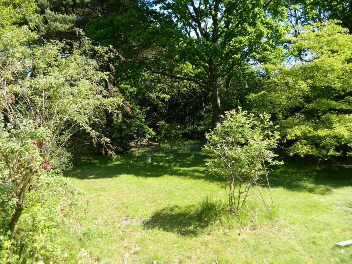 River Cottage A Country Retreat In Wooded Gardens East Stoke  Kültér fotó