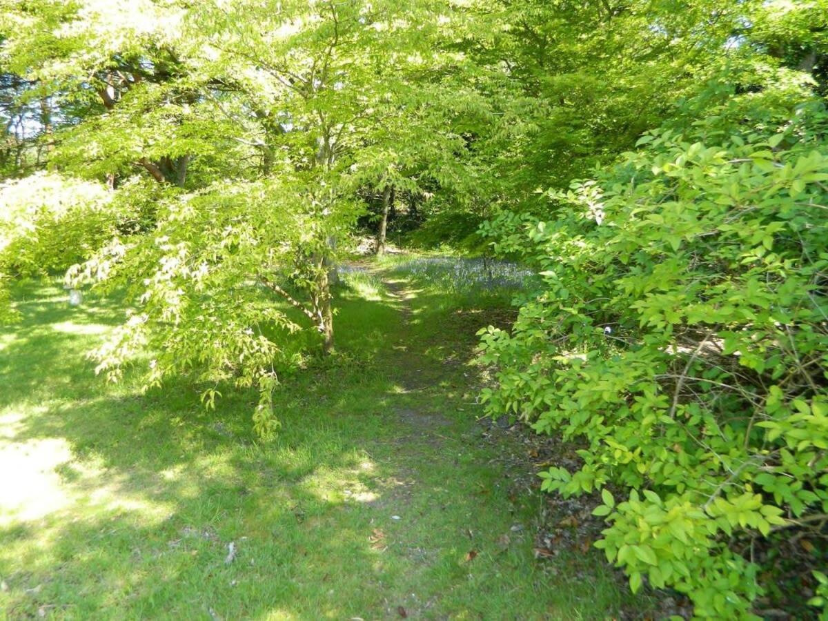 River Cottage A Country Retreat In Wooded Gardens East Stoke  Kültér fotó